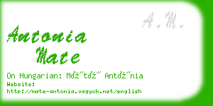 antonia mate business card